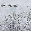 '' 글에 포함된 이미지