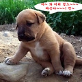 '아직은 덥습니다.즐거' 글에 포함된 이미지