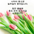 댓글 첨부 이미지