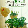 '목요일 아침 출첵 해' 글에 포함된 이미지