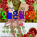 '새로운 한주가 시작되' 글에 포함된 이미지