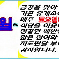 '금강산악회가 지금까' 글에 포함된 이미지
