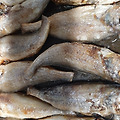 '유진수산조기구워 맛' 글에 포함된 이미지
