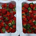 '딸기가 엄청 싸네요' 글에 포함된 이미지