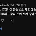댓글 첨부 이미지