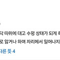댓글 첨부 이미지
