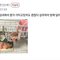 댓글 첨부 이미지