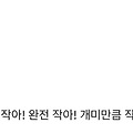 댓글 첨부 이미지