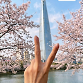 댓글 첨부 이미지