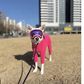 댓글 첨부 이미지
