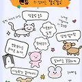 댓글 첨부 이미지