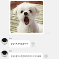 댓글 첨부 이미지
