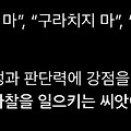 댓글 첨부 이미지