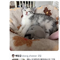 댓글 첨부 이미지