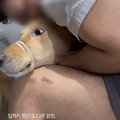 댓글 첨부 이미지