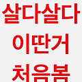 댓글 첨부 이미지