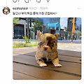 댓글 첨부 이미지