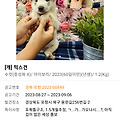 댓글 첨부 이미지