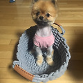 댓글 첨부 이미지