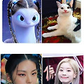 댓글 첨부 이미지