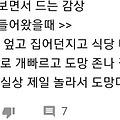 댓글 첨부 이미지