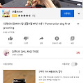 댓글 첨부 이미지