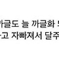 댓글 첨부 이미지