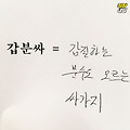 댓글 첨부 이미지