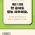 댓글 첨부 이미지