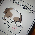 댓글 첨부 이미지