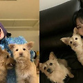 댓글 첨부 이미지