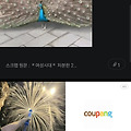 댓글 첨부 이미지