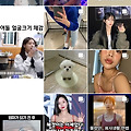 댓글 첨부 이미지