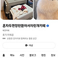 댓글 첨부 이미지