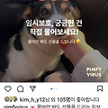 댓글 첨부 이미지