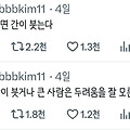 댓글 첨부 이미지