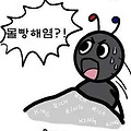 댓글 첨부 이미지