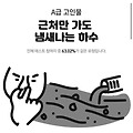 댓글 첨부 이미지