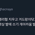 댓글 첨부 이미지