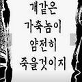댓글 첨부 이미지