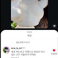 댓글 첨부 이미지