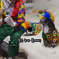 댓글 첨부 이미지