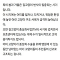 댓글 첨부 이미지