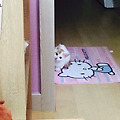 댓글 첨부 이미지