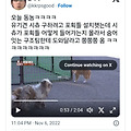 댓글 첨부 이미지
