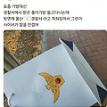 댓글 첨부 이미지