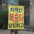 댓글 첨부 이미지
