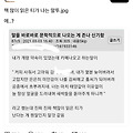 댓글 첨부 이미지