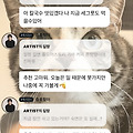 댓글 첨부 이미지