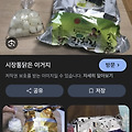 댓글 첨부 이미지